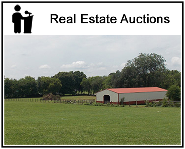Real estate auctioneer
